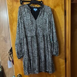 Stylish Black and Silver Dress